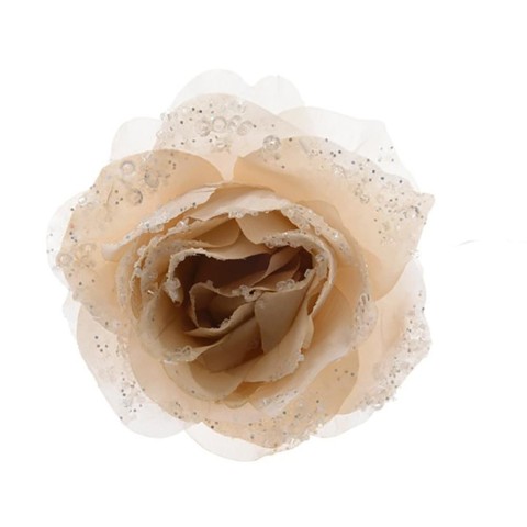 ROSA CCLIP E GLITTER CREMA D1